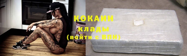 PSILOCYBIN Волосово