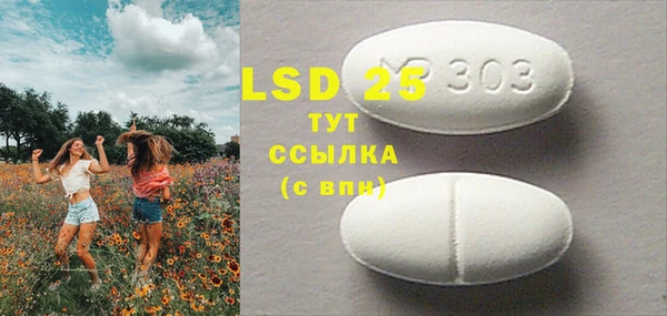 PSILOCYBIN Волосово