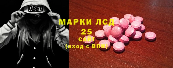 PSILOCYBIN Волосово
