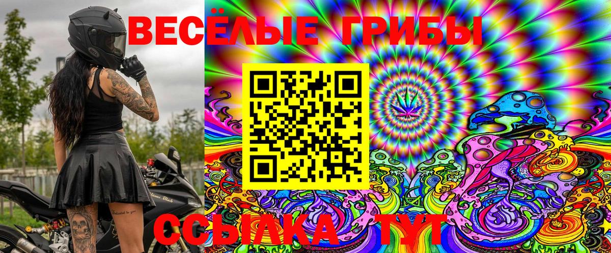 Елабуга  Галлюциногенные грибы Psilocybe  Вход с VPN 